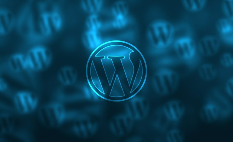 How To Reset Password WordPress Admin